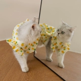 Летний тонкий наряд маленькой принцессы, юбка, рубашка, шнурок-держатель, популярно в интернете