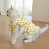 Летний тонкий наряд маленькой принцессы, юбка, рубашка, шнурок-держатель, популярно в интернете