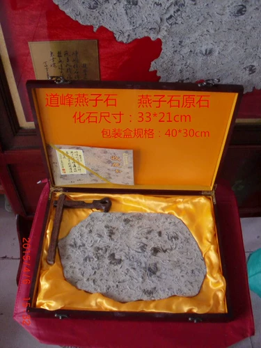 Посмотрите, как каменная Qi Shi глотает три -листья ископаемых ископаемых.