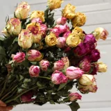 Смешанная цветочная смесь цветов и сочетая отделка, подруга, подруга роза маленькая свежая цветочная сушена