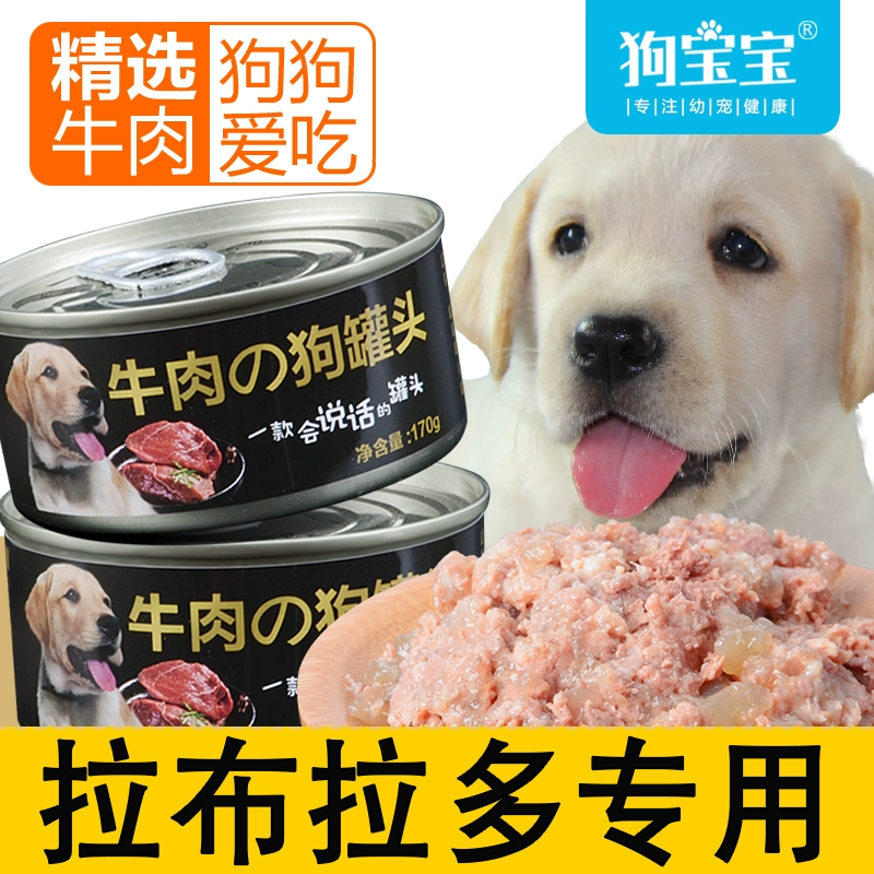 Thức ăn cho chó Labrador Thức ăn ướt Chó con Chó trưởng thành Chó con Đặc biệt Snack Thịt bò Đóng hộp Bibimbap Bổ sung dinh dưỡng Chất béo - Đồ ăn vặt cho chó