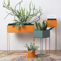 Дизайнерский скандинавский современный и минималистичный цветочный горшок в помещении