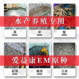 EM Пробиотический сырой жидкость Оригинальное воздействие аквариумного аквариума для очистки воды Аммиак и водные продукты EM Бактерии нитрифицирующие бактерии.