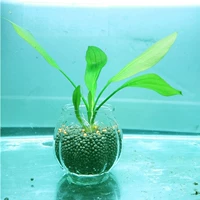 Синяя зеленая одиночная головка с бутылкой для удобрения для нижних удобрений