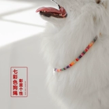 Антиолт -карта Список карты собачьей карты пользовательский кольцо выгравированное кольцо имени домашнее животное снабжает идентификационную карту собак