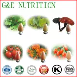 Производители поставляют большое количество экстрактов прополиса 10: 1 Национальная бесплатная доставка.