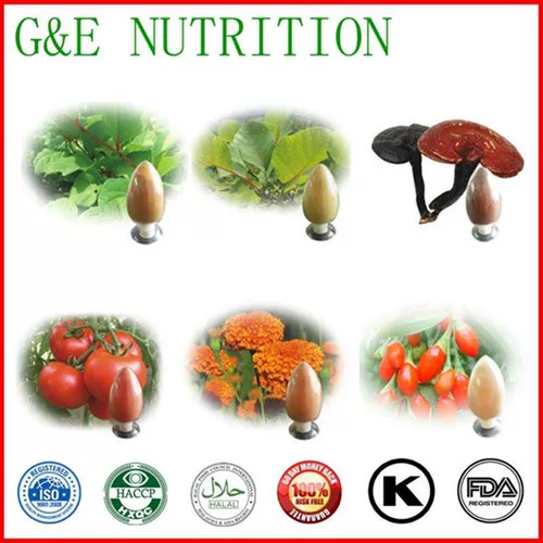 Производители поставляют большое количество экстрактов прополиса 10: 1 Национальная бесплатная доставка.