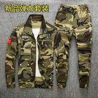 Упругое набор Huanghua [Весна и осенняя красная баннер]