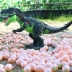 Khủng long điện quá khổ đi bộ Tyrannosaurus đẻ trứng chiếu với đôi cánh điều khiển từ xa cậu bé trẻ em di chuyển đồ chơi