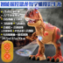 Khủng long điện điều khiển từ xa khủng long sẽ kể câu chuyện ca hát và nhảy múa Tyrannosaurus Rex đi bộ trẻ em có thể sạc lại đồ chơi nam do choi cho be Đồ chơi điều khiển từ xa