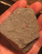 Ювелирные изделия и полуфабрикаты 昌化鸡血石原石鸡血石毛料48克