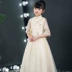 2019 mới phong cách Trung Quốc cô gái fluffy công chúa váy mùa hè trẻ em sườn xám guzheng váy chủ trang phục biểu diễn - Váy trẻ em Váy trẻ em
