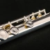 Nhạc cụ sáo Zhengou ZFL-3800 dành cho trẻ em đặc biệt C màu trắng mạ bạc cao cấp - Nhạc cụ phương Tây