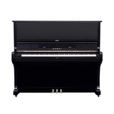 Пакет Difplant Японский оригинальный Kawaii Kawai Kawi Ku3d /Ku-3d фортепиано