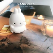 CANDLE.LAB | Stereo Bunny DIY Hương liệu thạch cao Nến mở rộng Hương thơm Handmade Silicone Khuôn 25