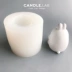 CANDLE.LAB | Stereo Bunny DIY Hương liệu thạch cao Nến mở rộng Hương thơm Handmade Silicone Khuôn 25 khuôn bánh dứa Tự làm khuôn nướng