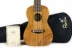 Nhạc cụ múa bảy dây RAINIE C40 T40C 23 26 inch Gỗ keo veneer ukulele - Nhạc cụ phương Tây