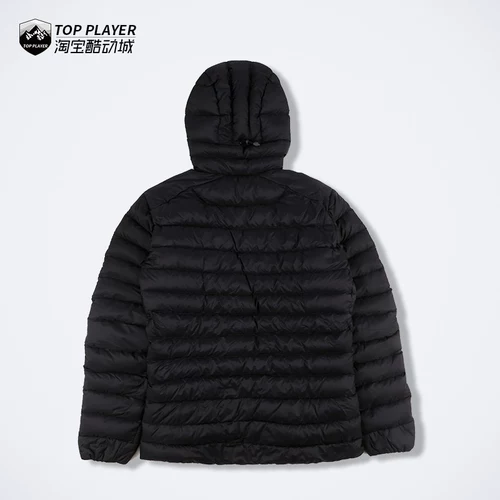 Arcteryx/The Amazing Bird's Men's Menship Theme Warmed Plel Cerium Lt Hoody 18013