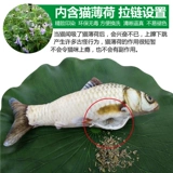 Мятная плюшевая игрушка, реалистичная подушка, кот, домашний питомец