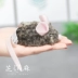 Chi Xiaoma GiGwi đắt tiền cho điện mô phỏng chuột mèo đồ chơi âm thanh giả mèo cung cấp - Mèo / Chó Đồ chơi