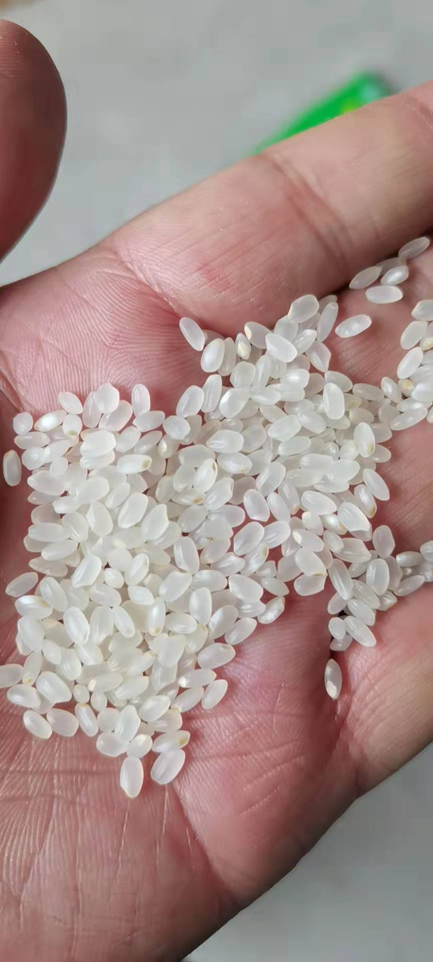 江西大米——赣鄱大地上的绿色明珠
