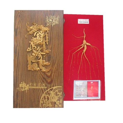 Северо -восток горы Чанбай дикий женьшень жидко