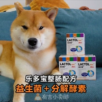 Le Duobao LACTO vật nuôi men vi sinh hoạt động mèo và ruột chó bột Shiba Inu điều hòa viêm dạ dày ruột tiêu chảy - Cat / Dog Health bổ sung sữa mèo sơ sinh