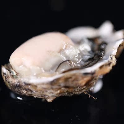 菜帮鲜活生蚝活牡蛎净重5斤装包邮