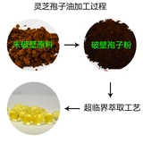 灵芝孢子油 Китайская академия наук обнаруживает ганодерму Lucidum Sanji Ganoderma Acid 500 мг*100 гранул