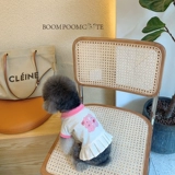 /Breaking Little Mite/Little Mitt Dog of Cightergarten, чтобы стать маленькой юбкой Pet York Pet York Show