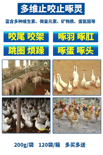 Остановка и укусить укусить хвост кусай ушной птицу, куриные утки, перья, свинина, клеветая на дух перья, анальная клевета с яйцом -клером