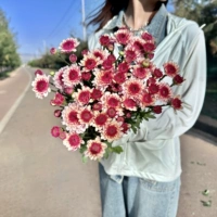Ретро упаковка 10 Бруно Присутствие Сохранение свежей цепи