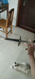 [Му Ютанг] Маленький меча обучения меча тяжелый меч Меч быстрый меч быстрый меч