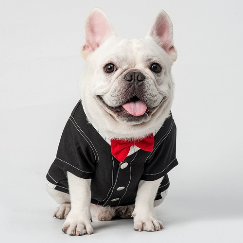 Mookipet Dog Fight Cat Одежда Summer Pet Blue Cat Платье весна и осень -тонкий костюм весенний костюм