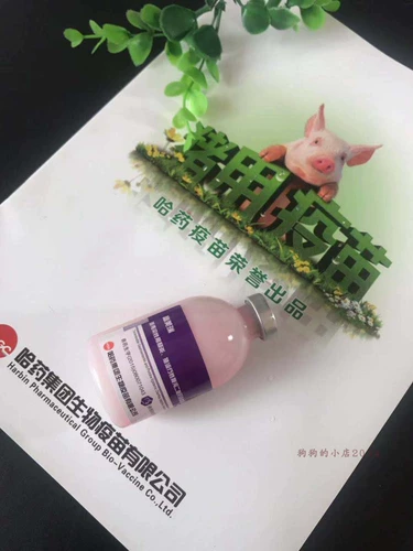 Инфекционное желудочно -кишечное желудочно -киш