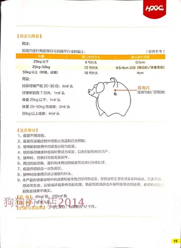 Инфекционное желудочно -кишечное желудочно -киш