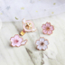 Hàng ngày xung quanh thẻ ma thuật cô gái Sakura Variety Sakura trâm hợp kim sao stick badge dễ thương bag với nút trang sức Trâm cài
