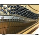 Nhật Bản nhập khẩu đàn grand Yamaha Yamaha số 20 grand piano hiệu quả về chi phí - dương cầm