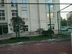 Cửa hàng lưới bảo vệ cửa sổ lưới công cụ vuông quốc gia dọc thép tấm văn phòng hàng rào sắt cổ điển - Bảo vệ xây dựng Bảo vệ xây dựng