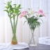 Thủ công mỹ nghệ chai thủy tinh màu xanh Mỹ bình nhỏ nhỏ phong phú tre lớn bó hoa nhà pha lê TV - Vase / Bồn hoa & Kệ bình hoa tay phật Vase / Bồn hoa & Kệ