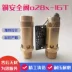 Fuchao van an toàn lò xo hoàn toàn bằng đồng A28X-16T máy nén khí trục vít không khí ren van giảm áp DN8DN10