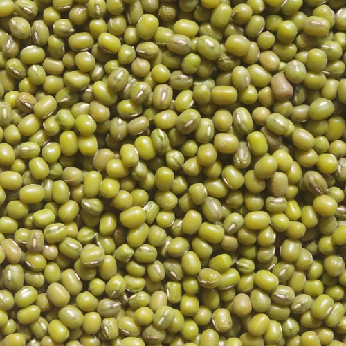 Селфраммарно -культивированная фасоль Mung Selected High -Catuality 500 г зерна Разное зерна