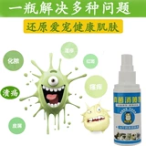 Мини -еж вешает домов