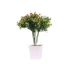 Mô phỏng hoa Milan hạt giả hoa nhựa mô phỏng cây xanh trang trí hoa phụ kiện đạo cụ hoa nhỏ - Hoa nhân tạo / Cây / Trái cây Hoa nhân tạo / Cây / Trái cây