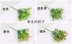 Mô phỏng hoa Milan hạt giả hoa nhựa mô phỏng cây xanh trang trí hoa phụ kiện đạo cụ hoa nhỏ - Hoa nhân tạo / Cây / Trái cây Hoa nhân tạo / Cây / Trái cây