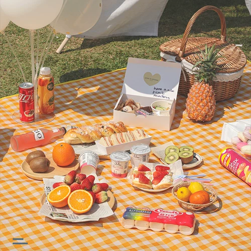 Портативный водонепроницаемый пляжный ковер для пикника для кемпинга, увеличенная толщина