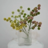 Простая природа симуляция растения одиночной ветви сосновой шарики