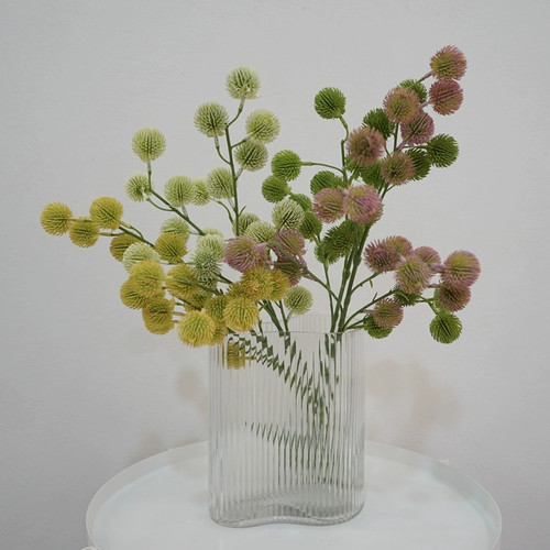 Простая природа симуляция растения одиночной ветви сосновой шарики