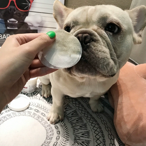 Японские собаки Кодзима, чтобы разорвать влажный шарф кошка, вытирайте глаза и удалили слезоточивые следы, артефакт слезы, 120 таблеток