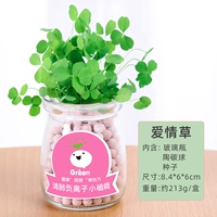 Бутылка, маленький горшок